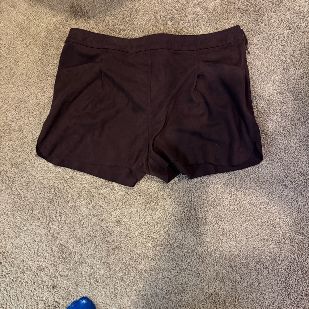 Naked Zebra Dark Brown High Waist Shorts